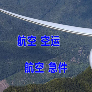 惠州航空快递快递-选东方航空和上海航空